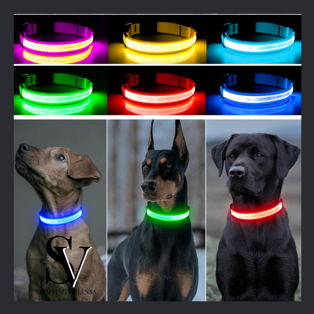 LumiPet™ - Collar Led para Perros y Gatos.