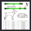 LumiPet™ - Collar Led para Perros y Gatos.